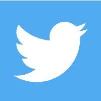 Twitter Profile for David